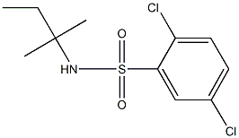 2,5-dichloro-N-(tert-pentyl)benzenesulfonamide Struktur