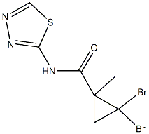 2,2-dibromo-1-methyl-N-(1,3,4-thiadiazol-2-yl)cyclopropanecarboxamide Struktur