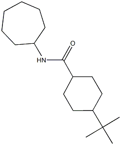 4-tert-butyl-N-cycloheptylcyclohexanecarboxamide Struktur