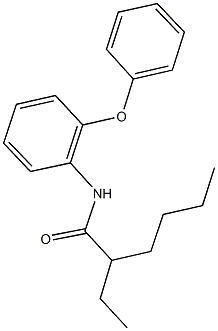 2-ethyl-N-(2-phenoxyphenyl)hexanamide Struktur