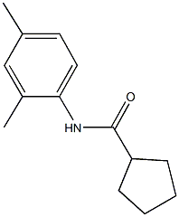 N-(2,4-dimethylphenyl)cyclopentanecarboxamide Struktur