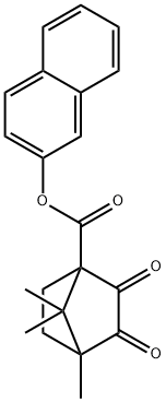 2-naphthyl 4,7,7-trimethyl-2,3-dioxobicyclo[2.2.1]heptane-1-carboxylate Struktur