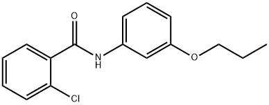 2-chloro-N-(3-propoxyphenyl)benzamide Struktur