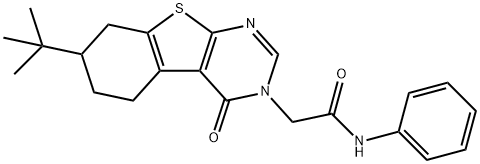 2-(7-tert-butyl-4-oxo-5,6,7,8-tetrahydro[1]benzothieno[2,3-d]pyrimidin-3(4H)-yl)-N-phenylacetamide Struktur