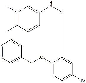 N-[2-(benzyloxy)-5-bromobenzyl]-N-(3,4-dimethylphenyl)amine Struktur