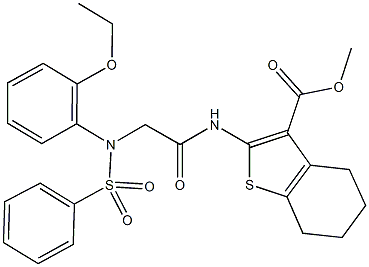 methyl 2-({[2-ethoxy(phenylsulfonyl)anilino]acetyl}amino)-4,5,6,7-tetrahydro-1-benzothiophene-3-carboxylate Struktur