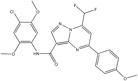 N-(4-chloro-2,5-dimethoxyphenyl)-7-(difluoromethyl)-5-(4-methoxyphenyl)pyrazolo[1,5-a]pyrimidine-3-carboxamide Struktur