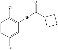 N-(2,5-dichlorophenyl)cyclobutanecarboxamide Struktur