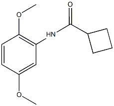 N-(2,5-dimethoxyphenyl)cyclobutanecarboxamide Struktur