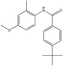 4-tert-butyl-N-(4-methoxy-2-methylphenyl)benzamide Struktur