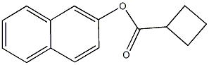 2-naphthyl cyclobutanecarboxylate Struktur