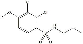 2,3-dichloro-4-methoxy-N-propylbenzenesulfonamide Struktur