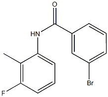 3-bromo-N-(3-fluoro-2-methylphenyl)benzamide Struktur