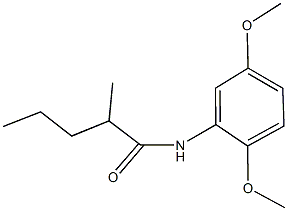 N-(2,5-dimethoxyphenyl)-2-methylpentanamide Struktur