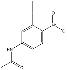 N-{3-tert-butyl-4-nitrophenyl}acetamide Struktur