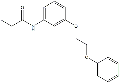 N-[3-(2-phenoxyethoxy)phenyl]propanamide Struktur