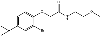 2-(2-bromo-4-tert-butylphenoxy)-N-(2-methoxyethyl)acetamide Struktur