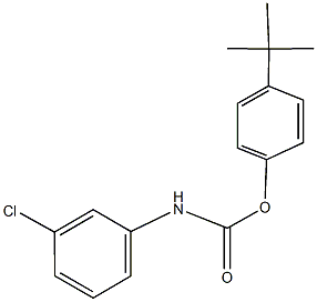 4-tert-butylphenyl 3-chlorophenylcarbamate Struktur