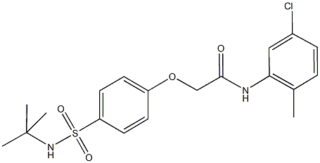 2-{4-[(tert-butylamino)sulfonyl]phenoxy}-N-(5-chloro-2-methylphenyl)acetamide Struktur