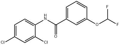 N-(2,4-dichlorophenyl)-3-(difluoromethoxy)benzamide Struktur