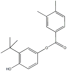 3-tert-butyl-4-hydroxyphenyl3,4-dimethylbenzoate Struktur