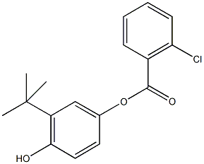 3-tert-butyl-4-hydroxyphenyl 2-chlorobenzoate Struktur