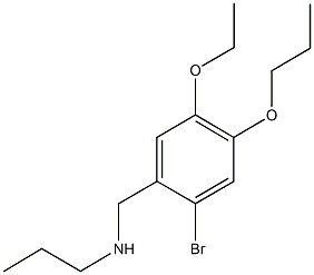 N-(2-bromo-5-ethoxy-4-propoxybenzyl)-N-propylamine Struktur