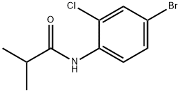 N-(4-bromo-2-chlorophenyl)-2-methylpropanamide Struktur