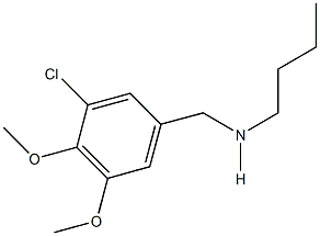 N-butyl-N-(3-chloro-4,5-dimethoxybenzyl)amine Struktur