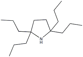 2,2,5,5-tetrapropylpyrrolidine Struktur