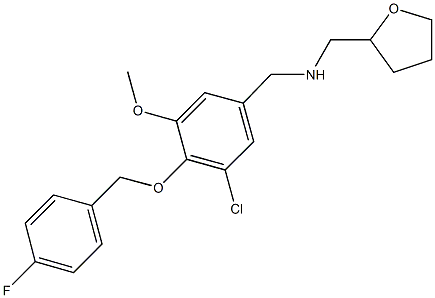 N-{3-chloro-4-[(4-fluorobenzyl)oxy]-5-methoxybenzyl}-N-(tetrahydro-2-furanylmethyl)amine Struktur