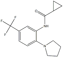 N-[2-(1-pyrrolidinyl)-5-(trifluoromethyl)phenyl]cyclopropanecarboxamide Struktur