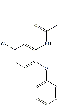 N-(5-chloro-2-phenoxyphenyl)-3,3-dimethylbutanamide Struktur