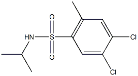 4,5-dichloro-N-isopropyl-2-methylbenzenesulfonamide Struktur