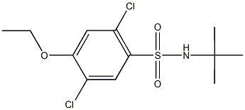 N-(tert-butyl)-2,5-dichloro-4-ethoxybenzenesulfonamide Struktur