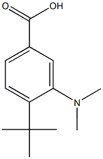 4-tert-butyl-3-(dimethylamino)benzoic acid Struktur