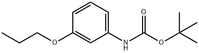 tert-butyl 3-propoxyphenylcarbamate Struktur