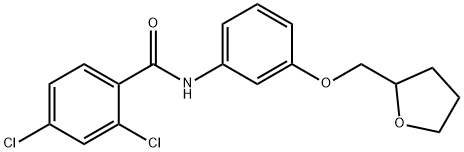 2,4-dichloro-N-[3-(tetrahydro-2-furanylmethoxy)phenyl]benzamide Struktur