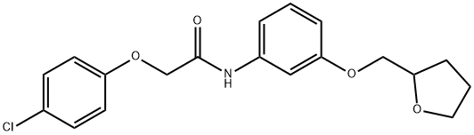 2-(4-chlorophenoxy)-N-[3-(tetrahydro-2-furanylmethoxy)phenyl]acetamide Struktur