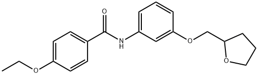 4-ethoxy-N-[3-(tetrahydro-2-furanylmethoxy)phenyl]benzamide Struktur