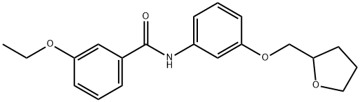 3-ethoxy-N-[3-(tetrahydro-2-furanylmethoxy)phenyl]benzamide Struktur