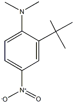 2-tert-butyl-N,N-dimethyl-4-nitroaniline Struktur