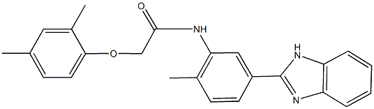 N-[5-(1H-benzimidazol-2-yl)-2-methylphenyl]-2-(2,4-dimethylphenoxy)acetamide Struktur