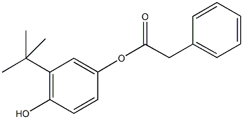 3-tert-butyl-4-hydroxyphenyl phenylacetate Struktur