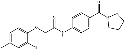 2-(2-bromo-4-methylphenoxy)-N-[4-(1-pyrrolidinylcarbonyl)phenyl]acetamide Struktur