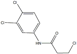 3-chloro-N-(3,4-dichlorophenyl)propanamide Struktur