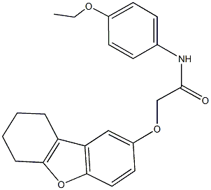 N-(4-ethoxyphenyl)-2-(6,7,8,9-tetrahydrodibenzo[b,d]furan-2-yloxy)acetamide Struktur