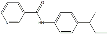 N-(4-sec-butylphenyl)nicotinamide Struktur