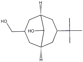 3-tert-butyl-7-(hydroxymethyl)bicyclo[3.3.1]nonan-9-ol Struktur