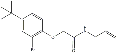 N-allyl-2-(2-bromo-4-tert-butylphenoxy)acetamide Struktur